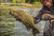 Berkley PowerBait Power Tube, 3 1/2in | 9cm, Soft Bait - 3 1/2in | 9cm, Goby