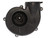 Jabsco 34739-0020 Flange Mount Blower, 3 inch, 150 CFM, 24 Volt DC Black