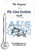 ALS Goldfish FL24-1 Fly Eyelet