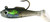 Creme SSB101 Spoiler Shad Swimbait 1 1/2", 1/16 oz, Black Back, 3/Pack