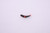Wordens 958-MSBP U-20 Flatfish
