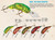 Rebel Lures D7434 Big Craw Crawfish Fishing Lure, Chartreuse / Green Back, 2...