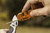 Smith's 51203 Pocket Pal Knife Sharpener - Orange