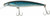 Rapala X-Rap Saltwater Fishing Lure (Silver Blue Mackerel, 5.5-Inch)