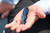 Berkley Powerbait Bunker Hawg Fishing Bait, 4", 10Count, June Bug, Bunker Hawg