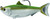 LiveTarget SDS95MS719 Sardine