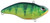Spro SAS75RPC Aruku Shad 75 Real Perch Spro SAS75RPC Aruku Shad 75 Real Perch