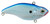 Spro Aruku Shad 75 Bait-Pack of 1, Chrome Blue