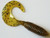 Kalin's 5G10-695 Lunker Grub, 5"
