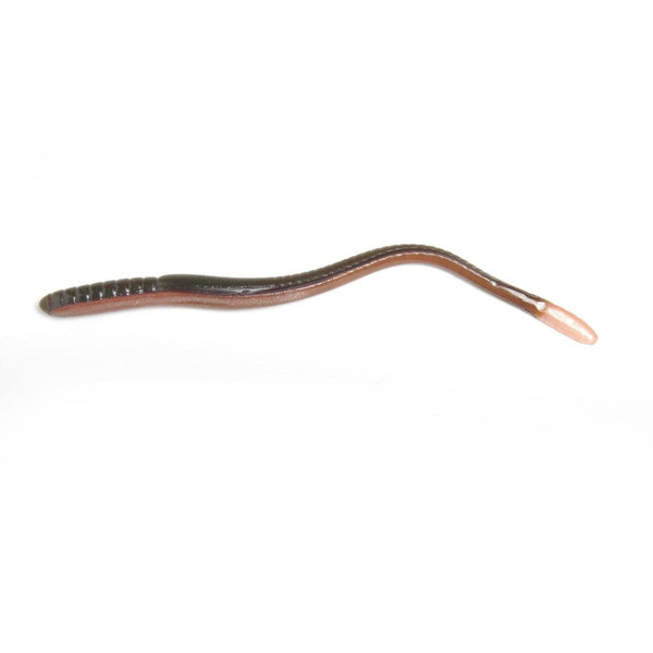 ROBOWORM 7" Straight Tail Worm / 8 Pack/Desert Craw