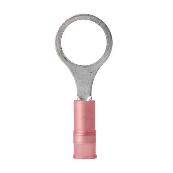 Ancor 220202 Marine Grade Electrical Nylon Insulated Double Crip Funnel Entry Ring Terminals with Insulation Grip (22 to 18-Gauge, Size 8 Screw, 100-Pack)