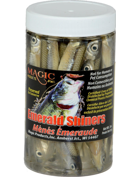 Magic Products Medium Minnows Fishing Equipment