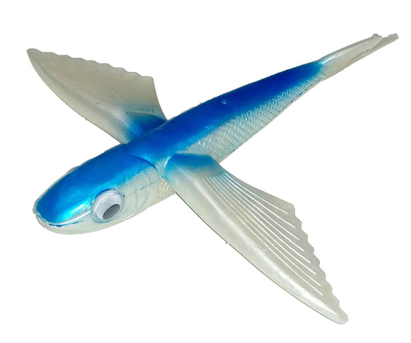 Fish Razr FR500 Flying Fish Blue Large