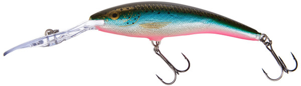 Rapala Deep Tail Dancer 11 Fishing lure, 4.375-Inch, Rainbow Trout