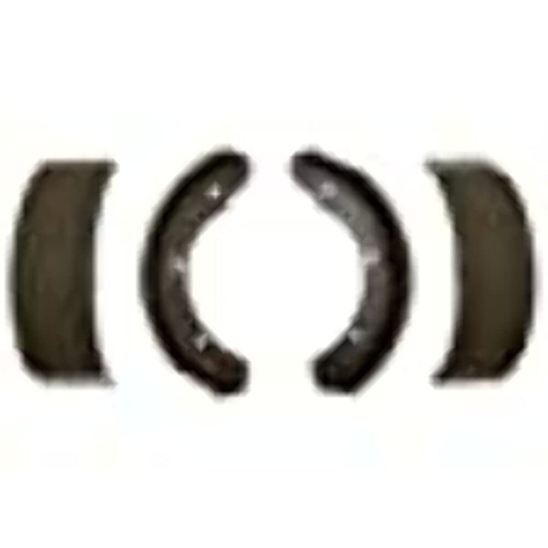 Raybestos 1050PG Professional Grade Brake Shoe Set