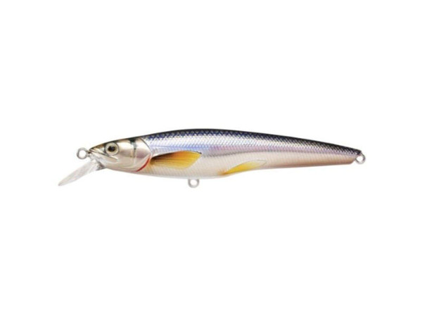 LIVE TARGET Rainbow Smelt Jerkbait, Shallow