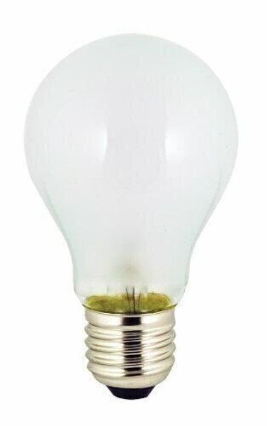 Ancor 533050 Marine Grade Electrical Light Bulb (Medium Screw/Standard Base, ...