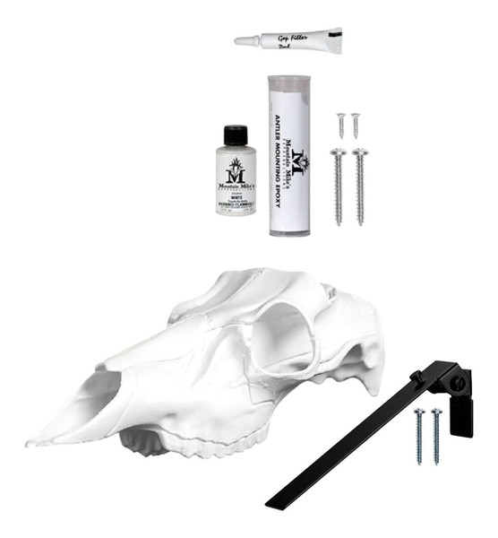 The Skull Master Antler Mount Kit