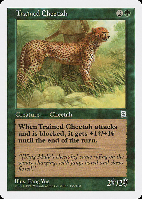 Trained Cheetah (PTK) (#154)
