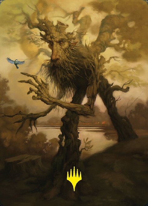 Treefolk // Treefolk (ALTR) (Borderless) (#81)