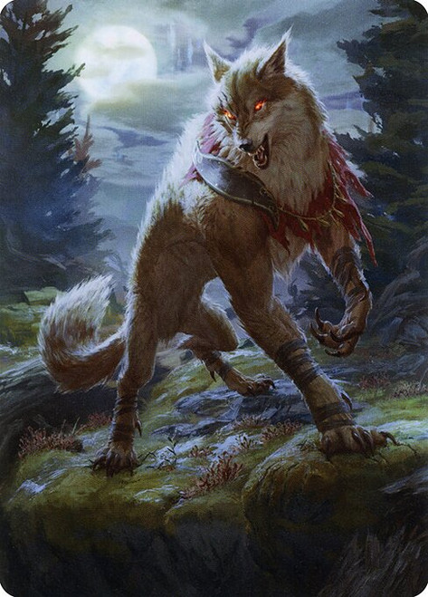 Arlinn, the Moon's Fury // Arlinn, the Moon's Fury (AMID) (Foil) (Borderless) (#2)