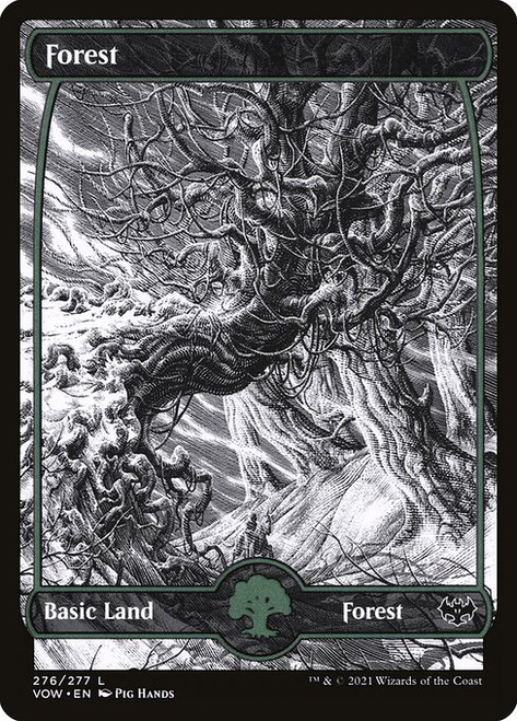 Forest (VOW) (Full Art) (#276)