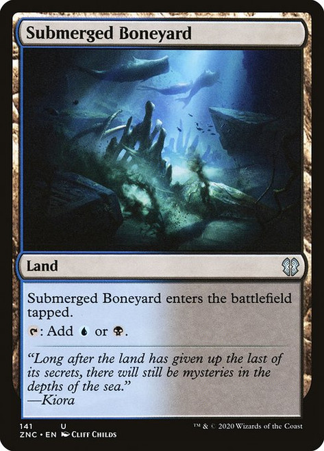 Submerged Boneyard (ZNC) (#141)