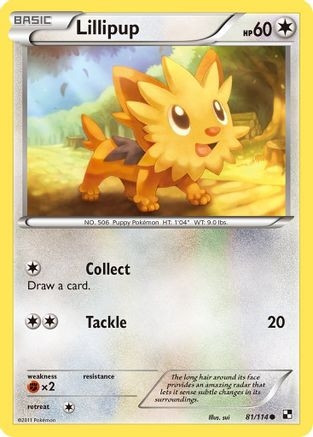 Lillipup (81) (PTCG-BLW2) (#81/114)