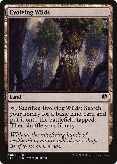 Evolving Wilds (C17) (#248)