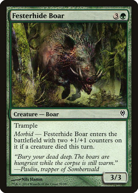 Festerhide Boar (DDM) (#59)