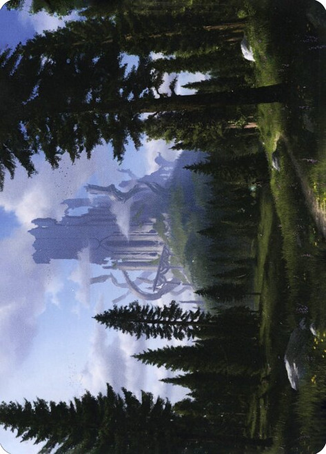 Forest // Forest (AAFR) (Foil) (Borderless) (#61)