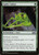 Spider Umbra (UMA) (#184)