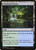 Woodland Stream (C19) (#286)