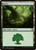 Forest (MID) (Foil) (#384)