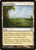 Vivid Meadow (MMA) (Foil) (#229)
