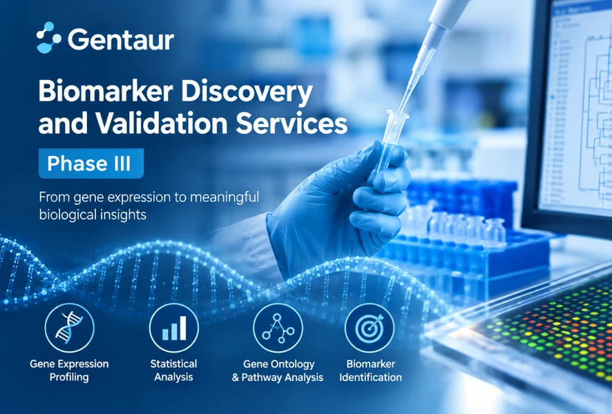Biomarker Discovery and Validation Services – Phase III