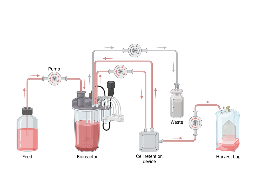 Bioreactor