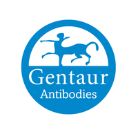 GEMIN8 Polyclonal Antibody
