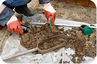 taking-soil-samples.jpg