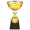 Gold/ Silver Cup 151