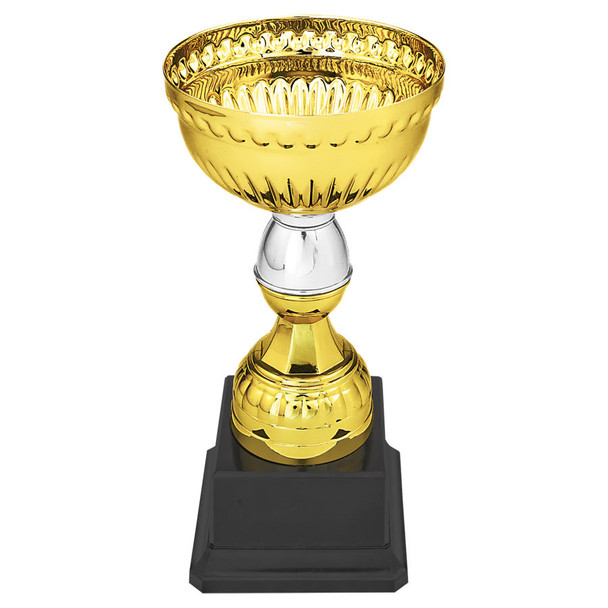 Gold/ Silver Cup 151