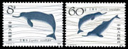 China Stamps - 1980, T57, Scott 1645-46 Chinese River Dolphin, MNH, F-VF (91645)