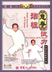 Stake Exercise of Yi Quan (WMDD)