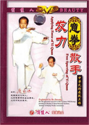 Applying Force free Sparring of Yi Quan (WMDE)
