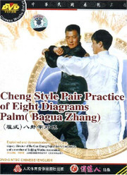 Chen Style Pair Practice of Eight Diagrams Palm (WMDW)