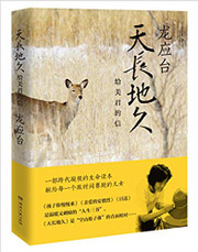 天长地久:给美君的信  (W12N)