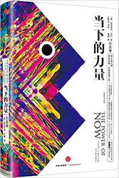 当下的力量(白金版) (W0YK)