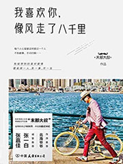 我喜欢你，像风走了八千里 (W1LD)