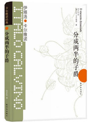 卡尔维诺经典：分成两半的子爵 (W29Q)