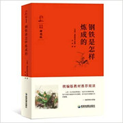 统编版教材推荐阅读：钢铁是怎样炼成的 (WB66)